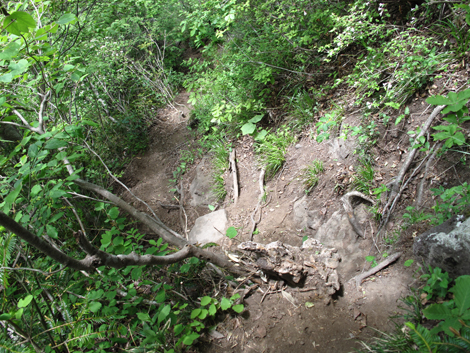 20140517hike (172)